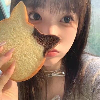 春花秋月未了情
